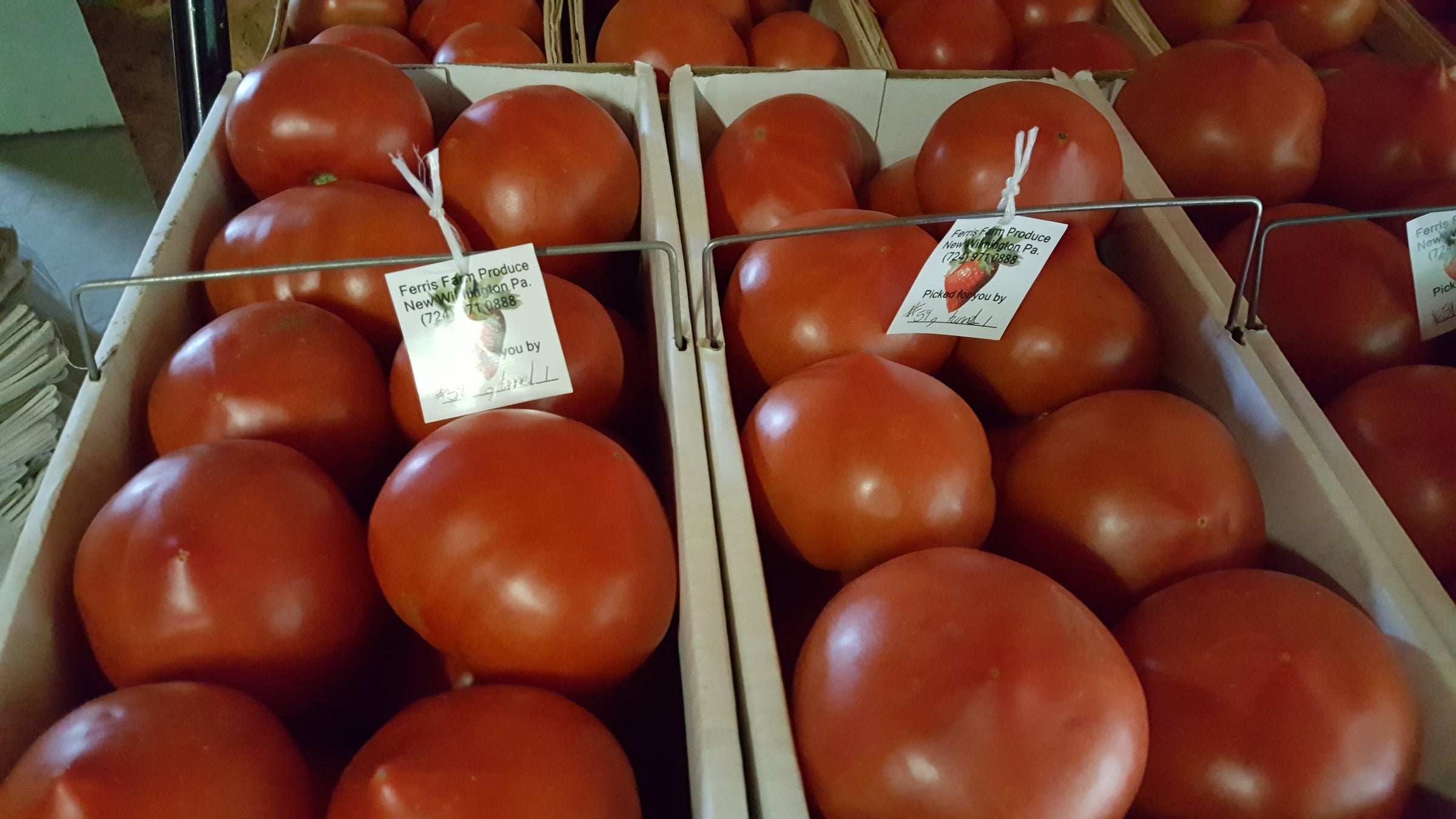 Tomatoes by Peck | Ferris Farm Produce Inc